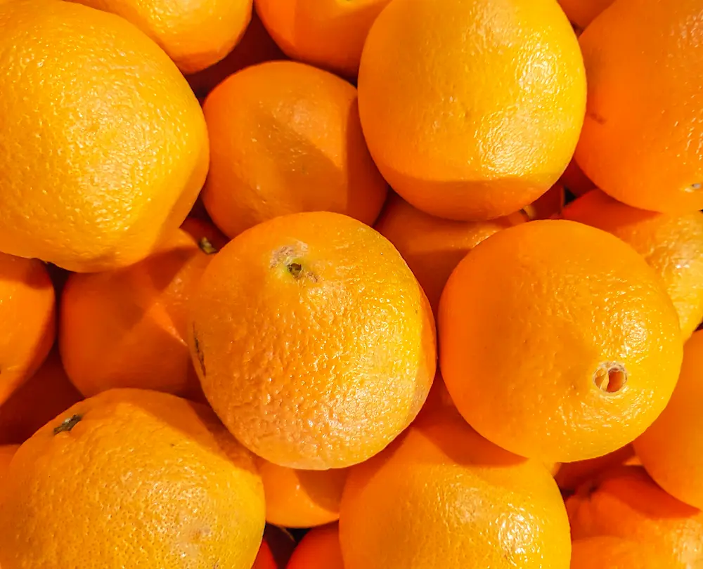 plantación de naranjas